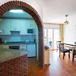 Palmeras 6 Menyber