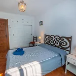 Palmeras 6 Menyber